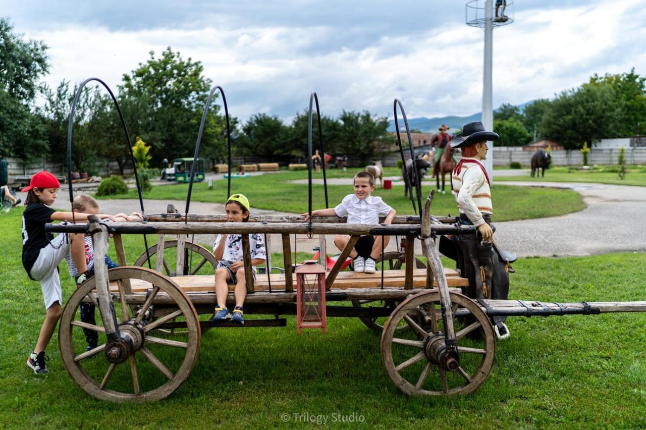 Speedhouse Daire Alba Iulia Dış mekan fotoğraf