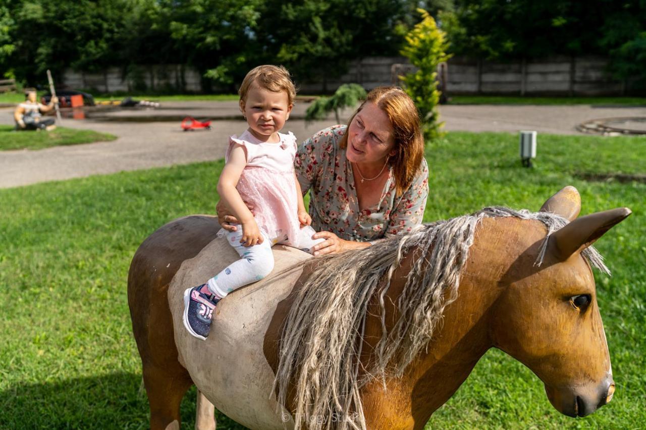Speedhouse Daire Alba Iulia Dış mekan fotoğraf