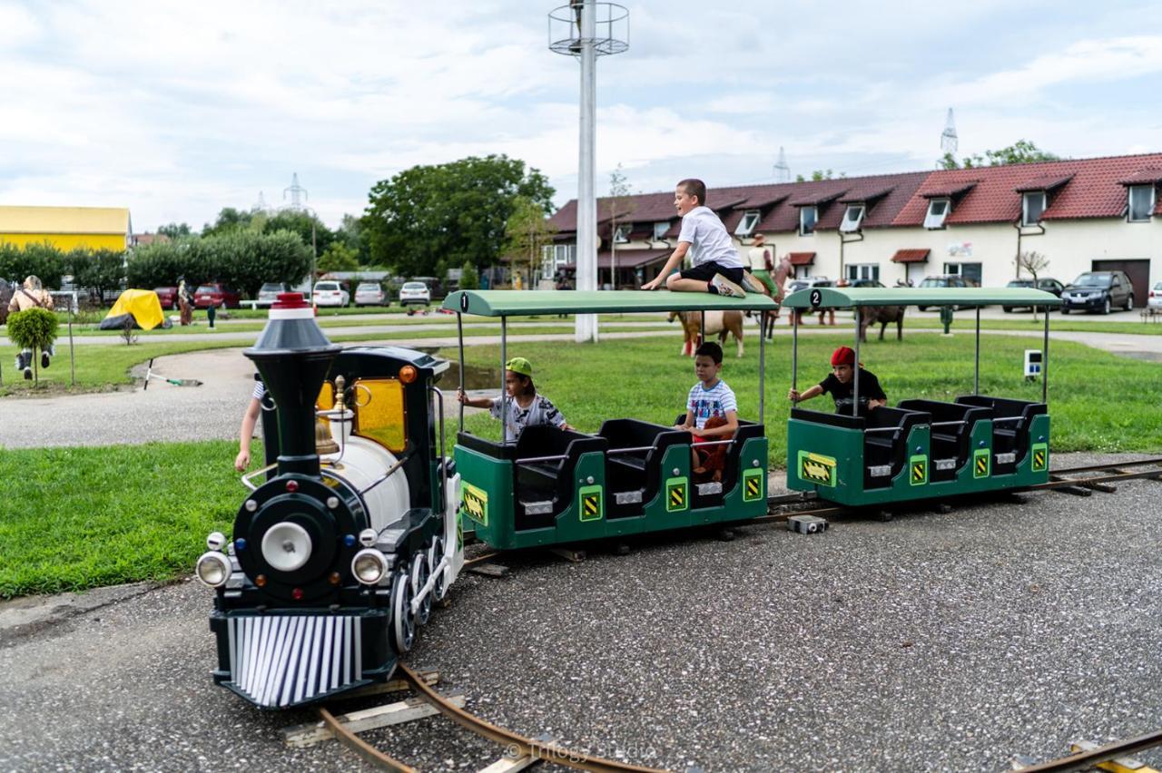 Speedhouse Daire Alba Iulia Dış mekan fotoğraf